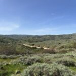 2026 Catalina Island 10K, 5K