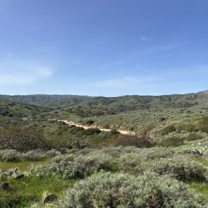 2026 Catalina Island 10K, 5K