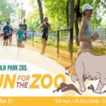 Run for the Zoo
