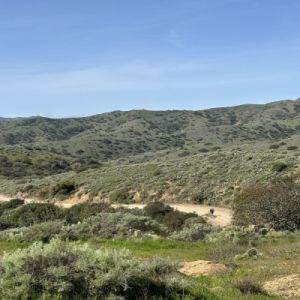 2026 Catalina Island Half Marathon and 10K